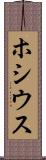 ホシウス Scroll