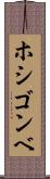 ホシゴンベ Scroll