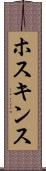 ホスキンス Scroll