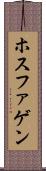 ホスファゲン Scroll