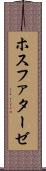 ホスファターゼ Scroll