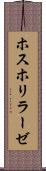 ホスホリラーゼ Scroll