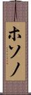 ホソノ Scroll