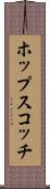 ホップスコッチ Scroll