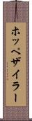 ホッペザイラー Scroll