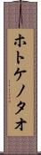 ホトケノタオ Scroll