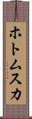 ホトムスカ Scroll