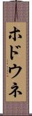 ホドウネ Scroll