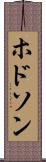 ホドソン Scroll