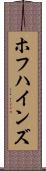 ホフハインズ Scroll
