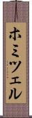 ホミツェル Scroll