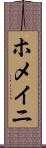 ホメイニ Scroll