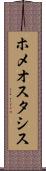 ホメオスタシス Scroll