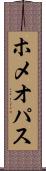 ホメオパス Scroll