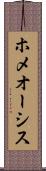 ホメオーシス Scroll
