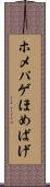 ホメパゲ Scroll