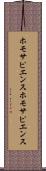 ホモサピエンス Scroll