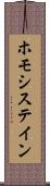 ホモシステイン Scroll