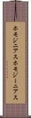 ホモジニアス Scroll