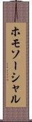 ホモソーシャル Scroll