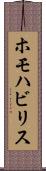 ホモハビリス Scroll