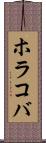 ホラコバ Scroll