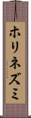 ホリネズミ Scroll