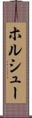 ホルシュー Scroll