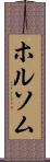 ホルソム Scroll