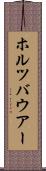 ホルツバウアー Scroll