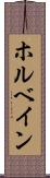 ホルベイン Scroll