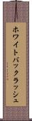 ホワイト・バックラッシュ Scroll