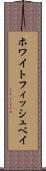 ホワイトフィッシュベイ Scroll