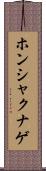 ホンシャクナゲ Scroll