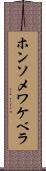 ホンソメワケベラ Scroll
