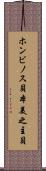 ホンビノス貝 Scroll