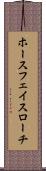 ホースフェイスローチ Scroll