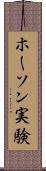 ホーソン実験 Scroll