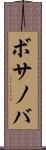 ボサノバ Scroll