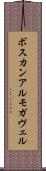 ボスカンアルモガヴェル Scroll