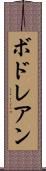 ボドレアン Scroll