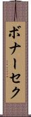 ボナーセク Scroll