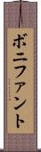 ボニファント Scroll