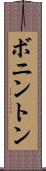 ボニントン Scroll