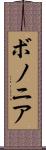 ボノニア Scroll