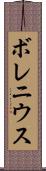 ボレニウス Scroll