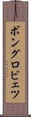ボングロビェツ Scroll