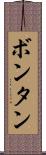 ボンタン Scroll