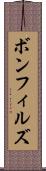 ボンフィルズ Scroll