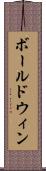 ボールドウィン Scroll